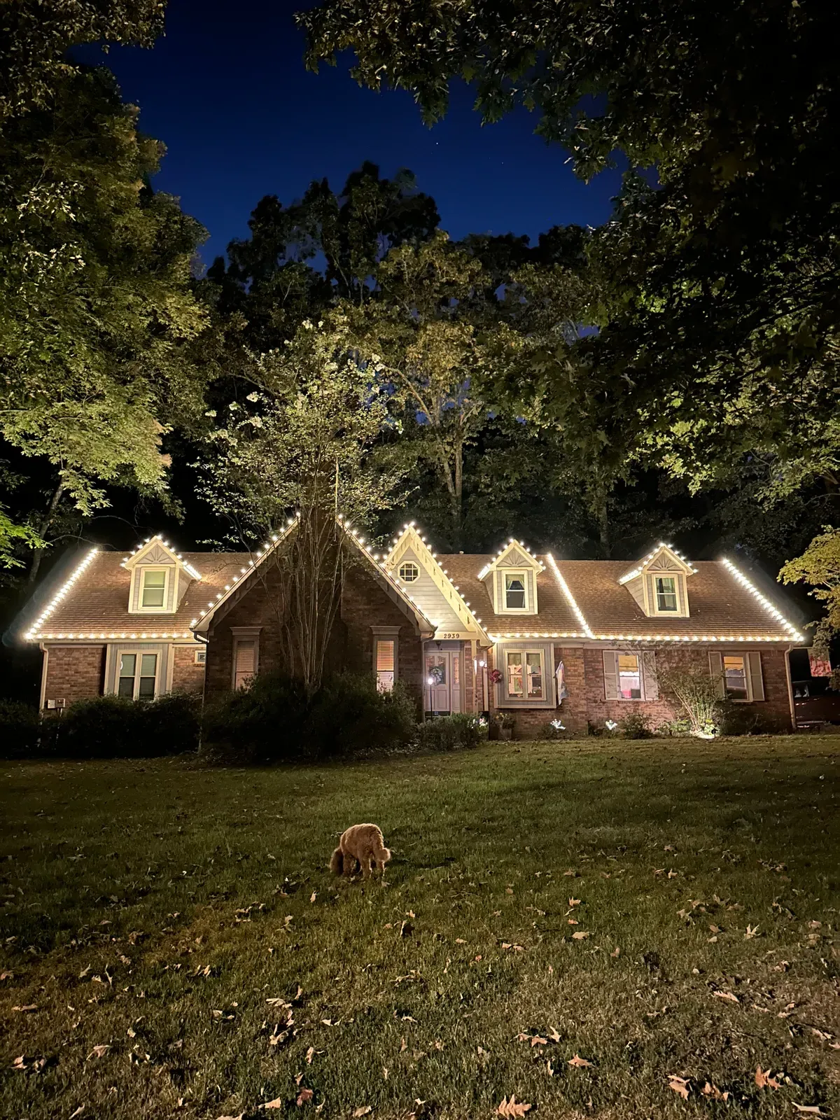 Two-Story Roofline Showcase — Multi-Gable Estate photo 1 of 1