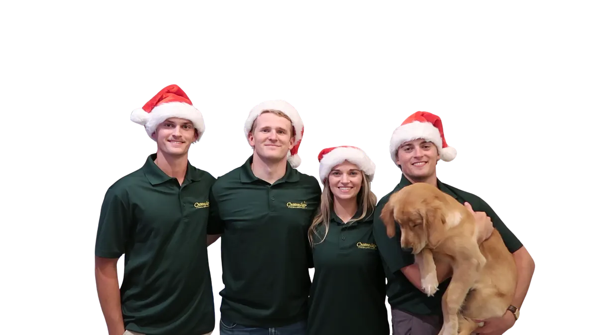 The Christmas Lights Collierville installation team